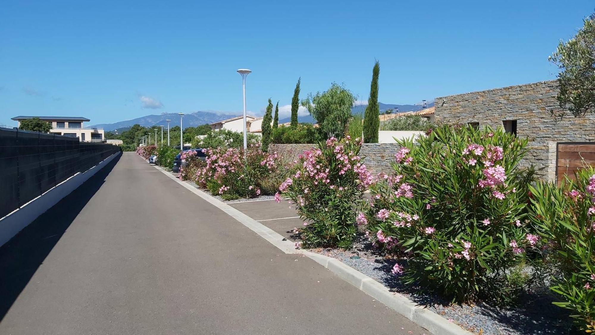 Villa Home Holiday A Cala Rossa Lecci Exterior foto